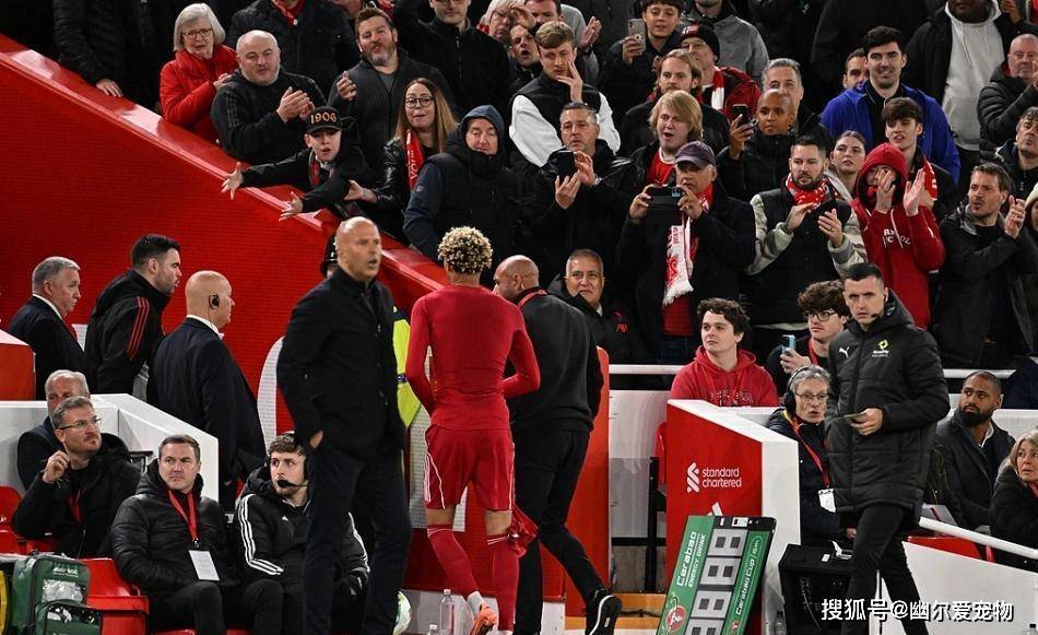 进球后他激 进球后他激