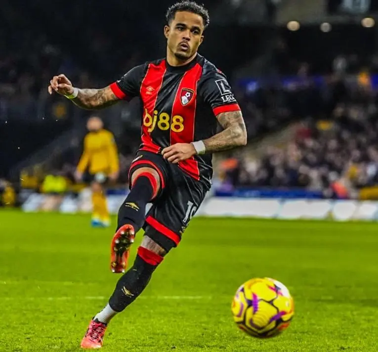 img, 鲁伊维特一, img